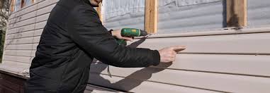 Best Siding Painting and Refinishing  in Clemmons, NC